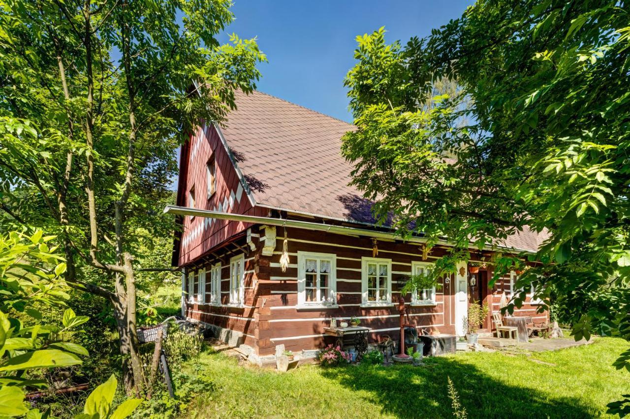 Teplice nad Metují Roubenka Javor 33 빌라 외부 사진